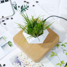 Maceta Hexagonal Flotante con Base Cuadrada