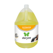 Shampoo para Autos 1 gal
